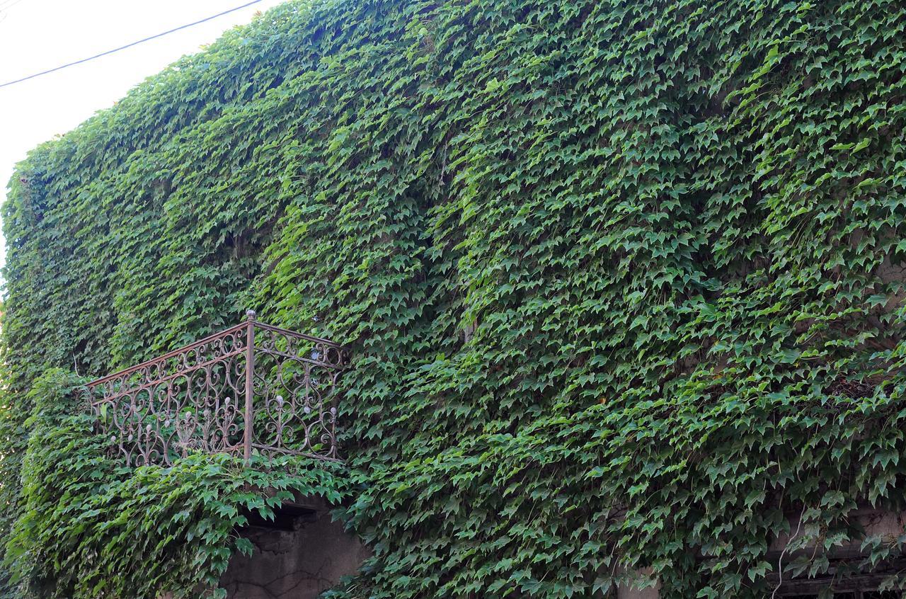 Old Walls 1 Tbilisi Esterno foto